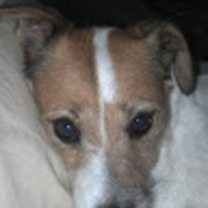 Meet your Posher, Kerry